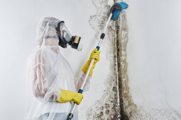 Best Sewage cleanup and water damage restoration  in Chickamau, GA