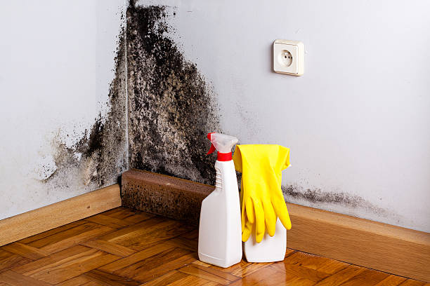 Professional Water damage restoration in Chickamauga, GA